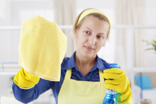 Built-in oven and hob cleaning service in Camden