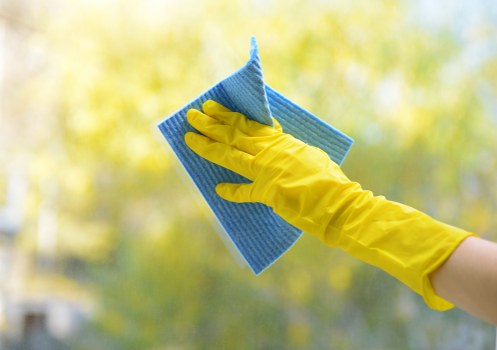 Professional oven cleaning service for a Camden kitchen appliance