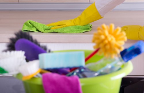 Cleaner in Camden working in a local residential flat