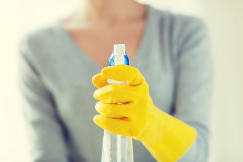 Professional cleaning service for Camden homes and flats