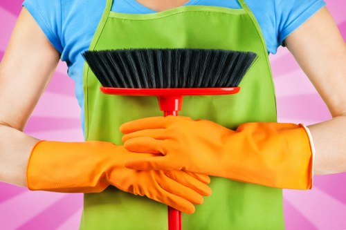 Deep cleaning of oven racks and interior surfaces in Camden