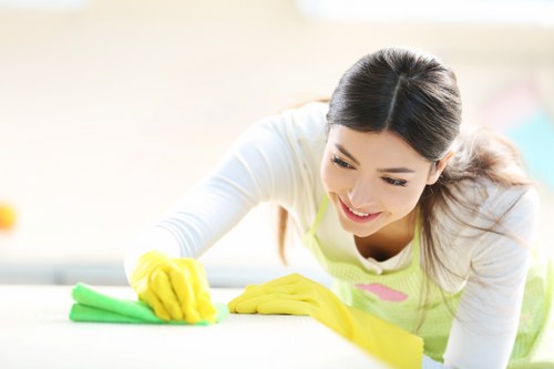 Regular cleaning service for homes and properties across Camden