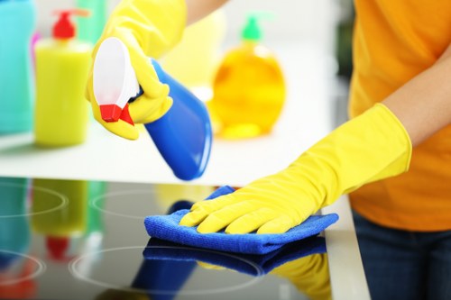 Residential window cleaning for Camden flats and homes