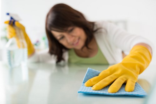 Local cleaning team preparing a Camden property for a move or tenancy change