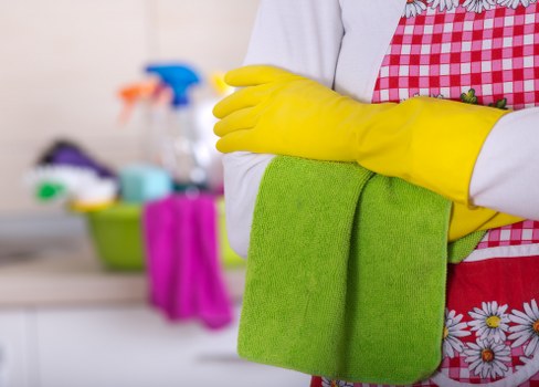 Oven cleaning operative inspecting appliance components before cleaning