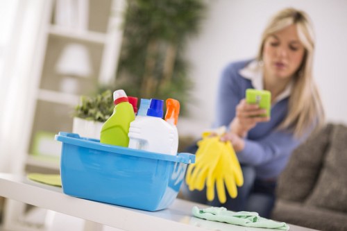 Professional cleaning process with attention to safe work area practices